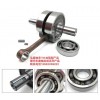 TM加強(qiáng)型摩托車曲軸軸承、發(fā)動(dòng)機(jī)軸承 電動(dòng)車軸承、電機(jī)軸承。